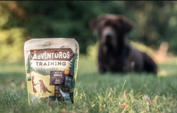 adventuros3