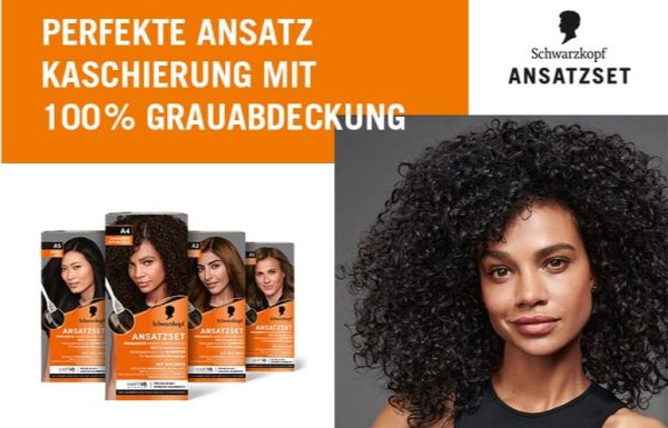 ansatz1