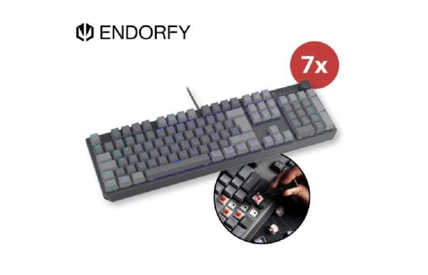 endorfy4