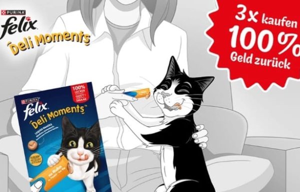 felix4