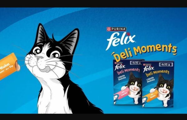 felix5