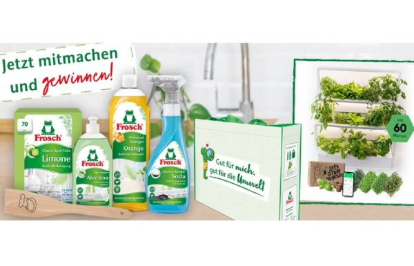 frosch3