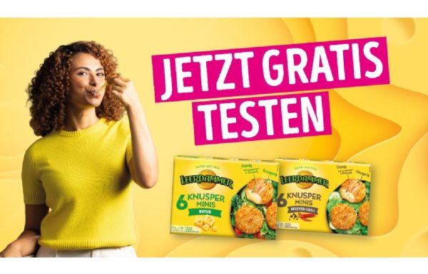 leerdammer1