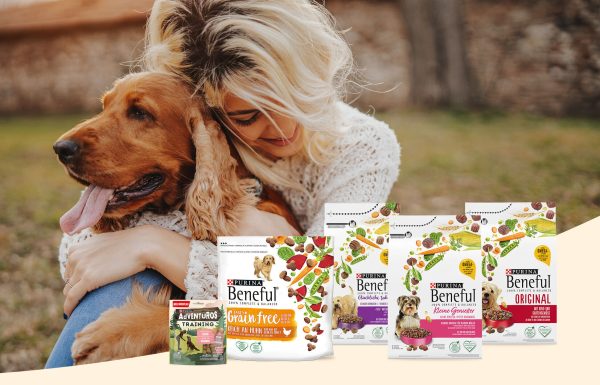 BENEFUL Trockenfutter & AdVENTuROS Training Treats