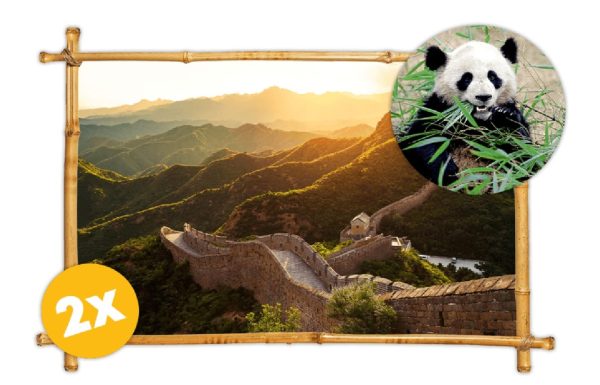 panda