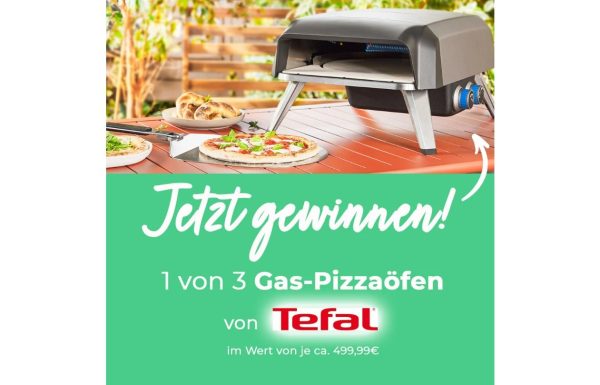 pizzaofen