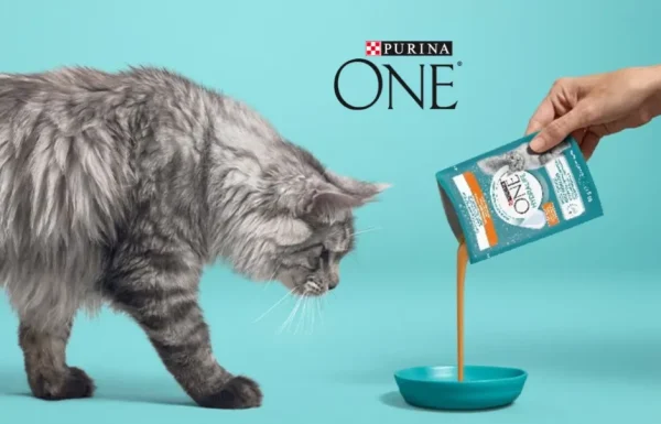purinaone2