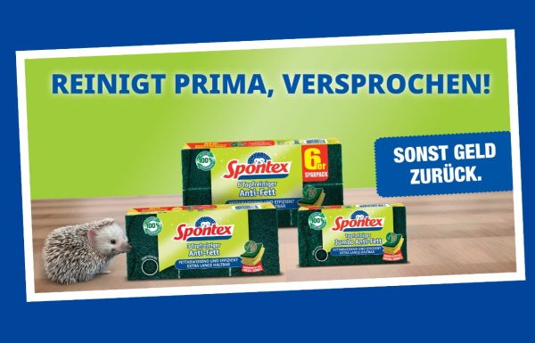 spontex1