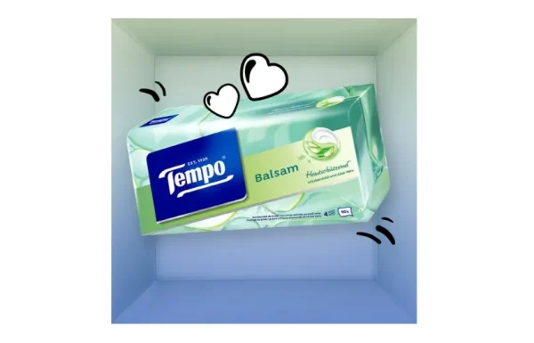 tempo3
