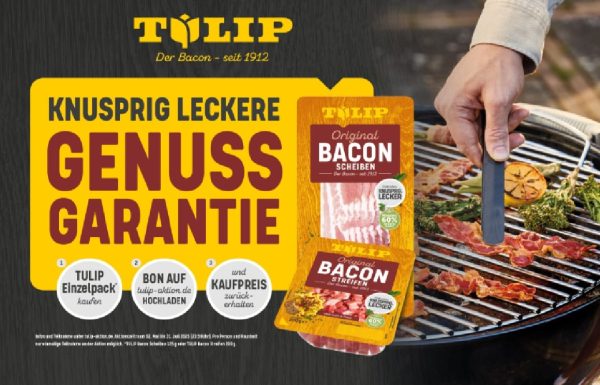 tulip3