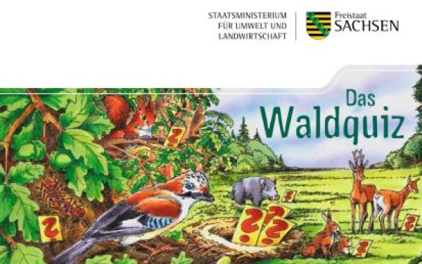 waldquiz
