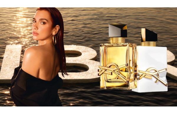 ysl11