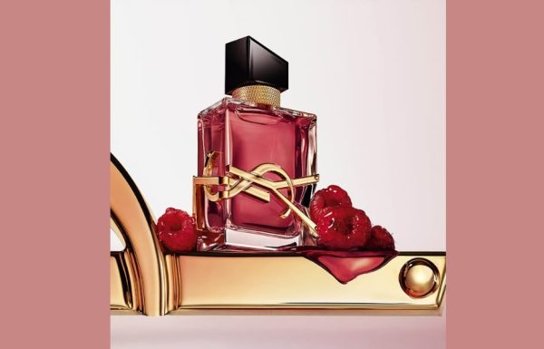 ysl8